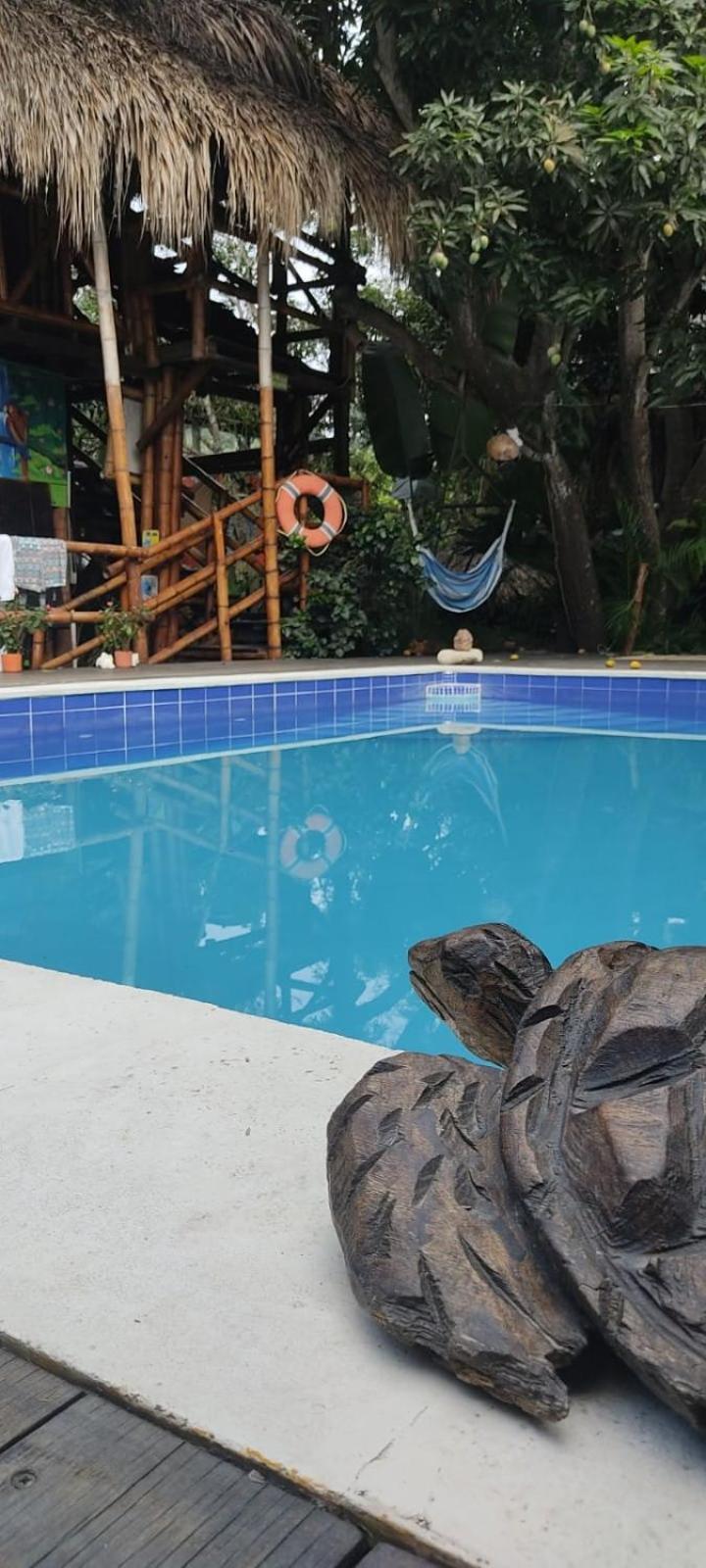 La Natura Hostel & Pool Palomino Extérieur photo