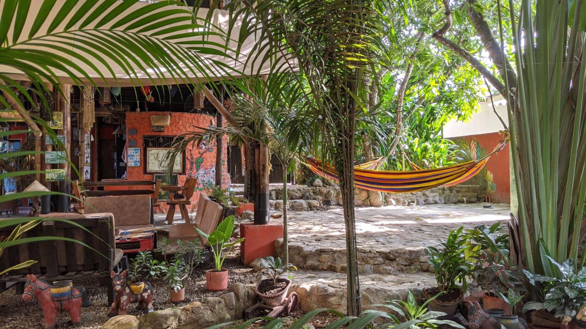 La Natura Hostel & Pool Palomino Extérieur photo